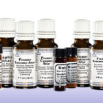 Premier Rosemary Attar