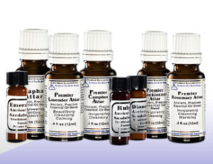 Premier Rosemary Attar