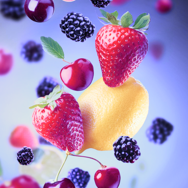 premier fruit buddies probiotic