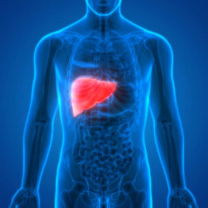 Liver/Gallbladder Cleansing & Rejuvenation